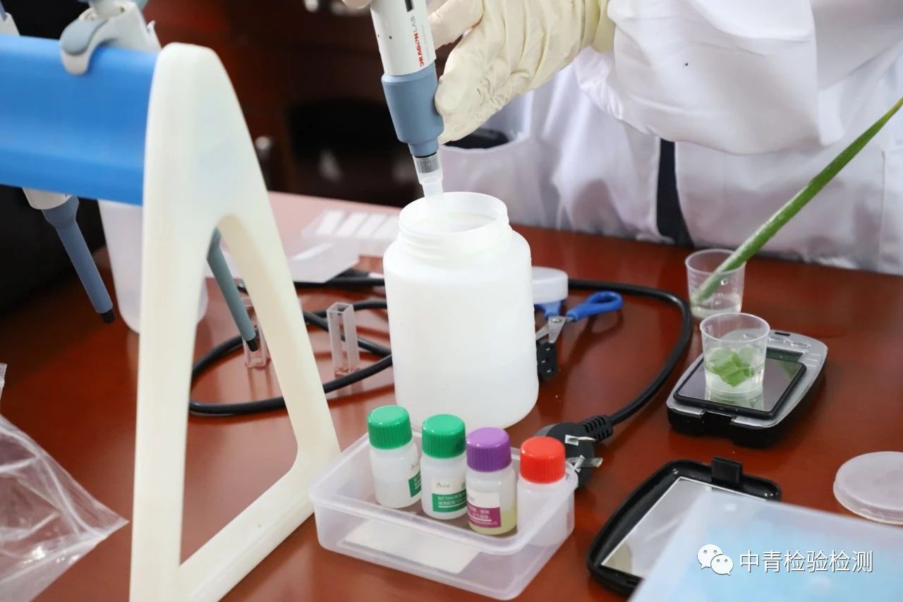 1594797389161561.jpg 微信圖片_20200715151443.jpg