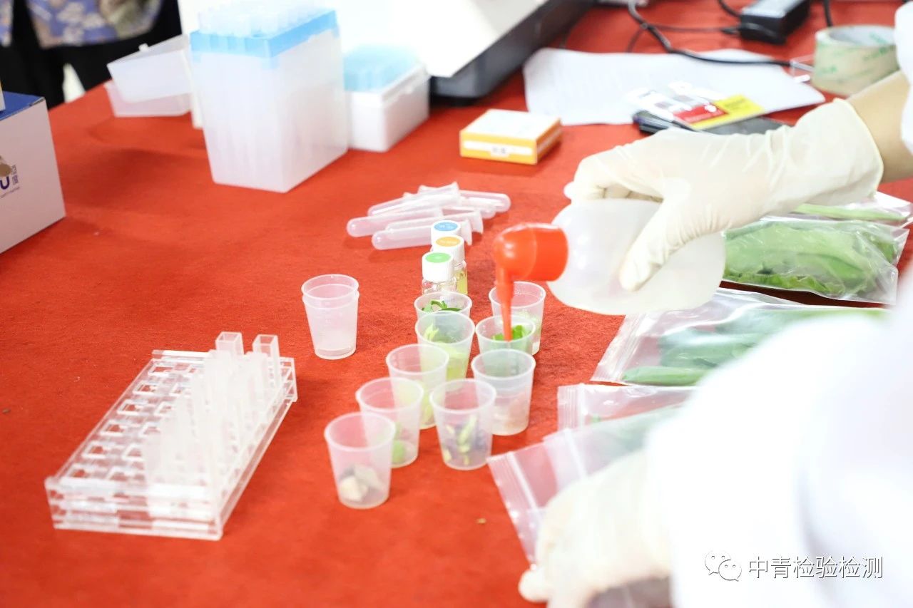 1594797726858364.jpg 微信圖片_20200715152121.jpg