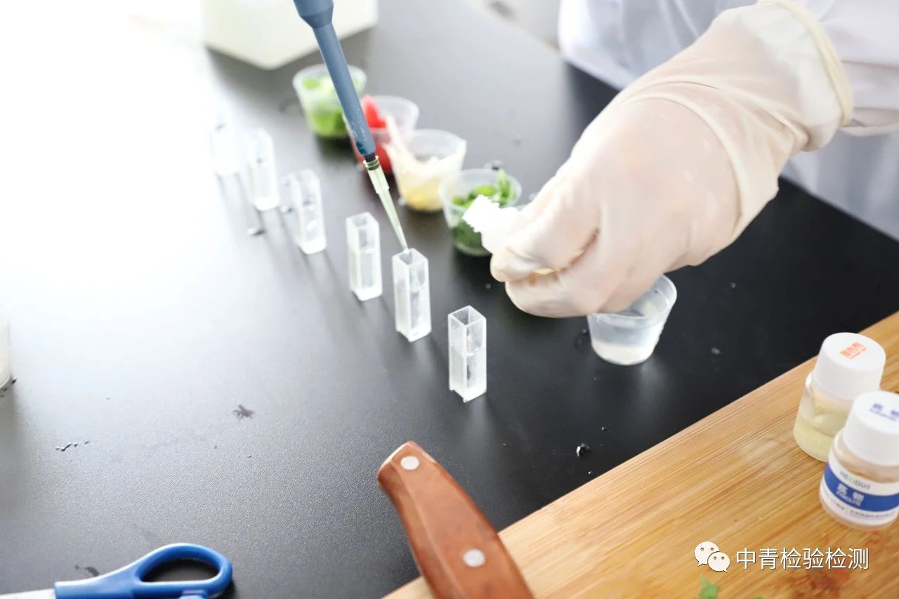 1594797849552646.jpg 微信圖片_20200715152245.jpg