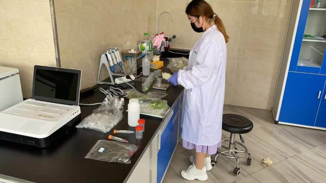 1594800020779788.jpg 微信圖片_20200715155841.jpg