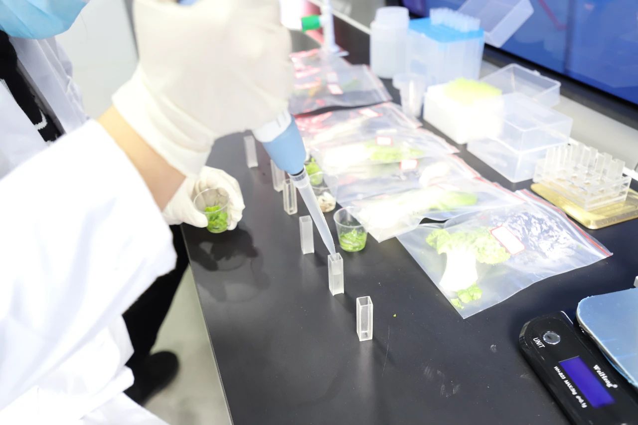 1622686248499201.jpg 6.jpg